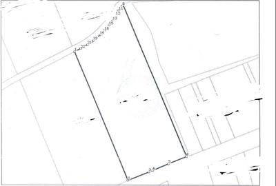 Teren Construcții intravilan de 9880 mp, în Baciu