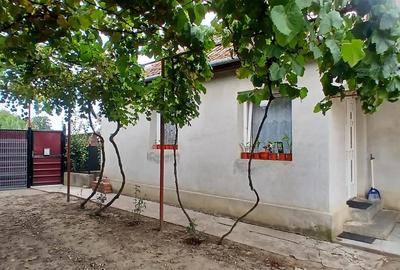 RECO Casa cu teren mare in Diosig - 5