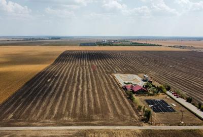 Frumusani - Hobby Arena - teren intravilan cu PUZ aprobat - 3
