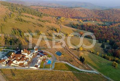 Teren agricol de 3854 mp, în Păltiniș