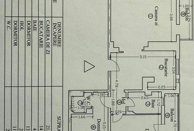 Apartament 3 camere ultracentral Elena Doamna complet mobilat si utilat - 15