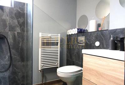 Casa individuala, curte/gradina/parcare; zona Balcescu. Birouri. - 13
