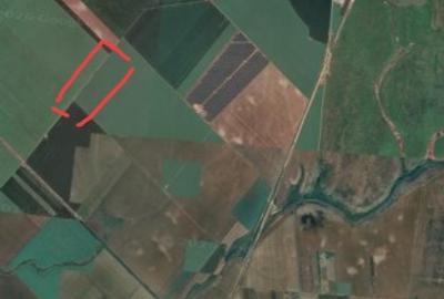 Teren agricol extravilan de 12500 mp, în Sânandrei