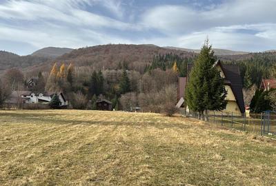 Teren de vanzare 1000 m2 Cheia - 4