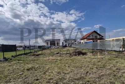 Teren intravilan, 647 mp, fs 17 ml, Mosnita Noua - 2
