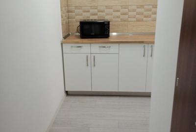 De inchiriat! Apartament cu o camera in Piata Victoriei! - 5