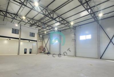 Hala industriala 300 mp Parc Industrial Prejmer,  Brasov - 11