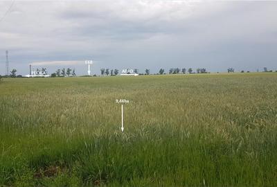 TEREN CU POTENTIAL INDUSTRIAL/ SERVICII | 9,44 HA | ARAD, PECICA - 8