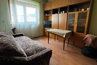 Casa individuala cu 5 camere de vanzare in Cugir - 2