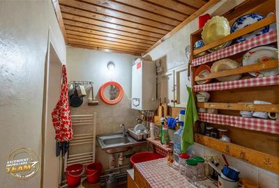 Casa in inima statiunii Covasna, cu gradina, vie si pomi fructiferi - 7