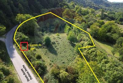 Teren intravilan de vânzare în Măgureni - 1