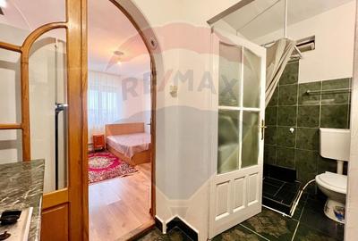 De vânzare garsonieră,în zona Rogerius, Corneliu Coposu - 11
