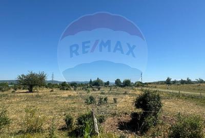 Vând Teren Dej / Strada Dumbrava Rosie - 1