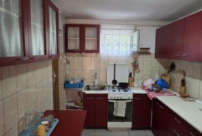Casă și teren de vânzare – Zona Careiului - 10