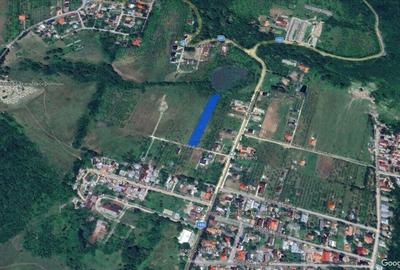 VANZARE TEREN INTRAVILAN 2800 MP. - CAMPINA/VOILA - 2