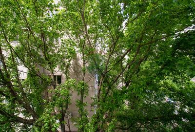 Apartament decomandat cu 3 camere de inchiriat Prevederii Trapezului - 22