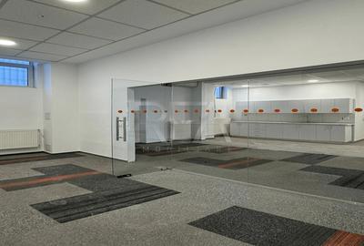 Inchiriere Spatiu Comercial - Sos. Nicolae Titulescu 131 mp - 4