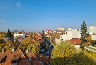 Penthouse Apartment for rent in Dorobanti Capitale - 5