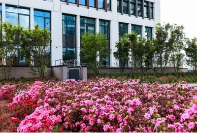 Business Garden Bucharest cladirea B, Grozavesti, 290 - 1448 mp  0% comision! - 15