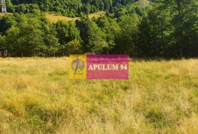 Teren Județul Vâlcea - Brezoi, Valea lui Stan - 4