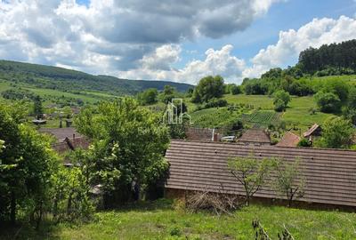 Casa de vanzare, Valchid, nr. 84, Sibiu - 18