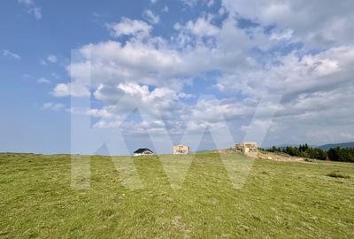 Teren 1003 mp în Păltiniș | Priveliște panoramică către munți - 3