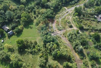 Teren 10.000 mp Calatele – Apuseni, langa rau, ideal investitie turism - 17