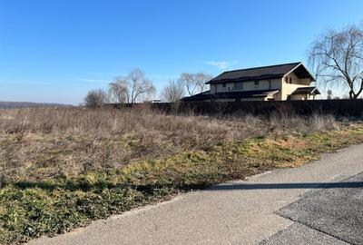 Gradistea- Ilfov, str. Nuferilor - 1000 mp - 4