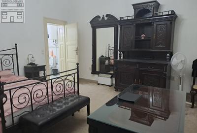 Apartament semi decomandat ultracentral in localitatea Oradea - 17