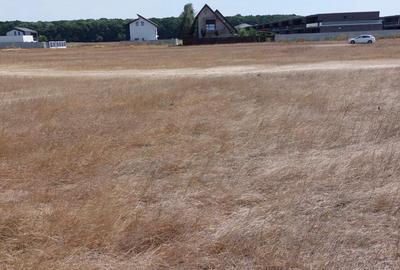 Teren Construcții intravilan de 1000 mp, în Voluntari