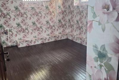 De Vanzare Casa 7 Camere Piata Operei - Plevnei - 27