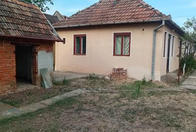 Vanzare Casa in localitatea Bodrogu Nou - 3
