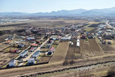 Teren intravilan cu hala construita - 17
