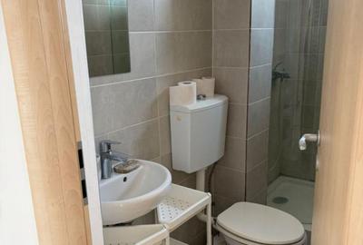 Apartament de 2 camere, 48 mp, pet friendly, centrala, balcon, Herastrau - 9