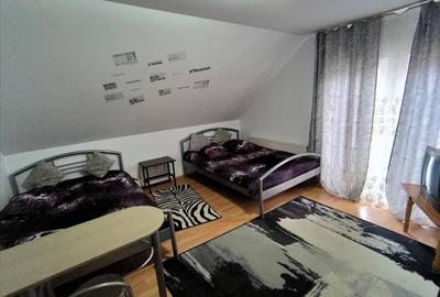 Pensiune in Sasca Montana - 5