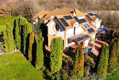 VIDEO | Domeniu privat la Padurea Noroieni | Vila D + P + M cu 9 camere | Curte, - 2