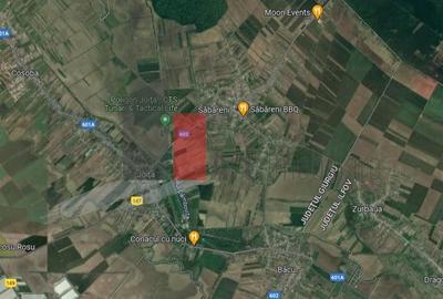 Teren Construcții intravilan de 6100 mp, în Cosoba