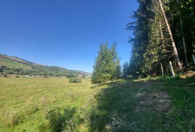 Teren, Ideal pentru Investitie Sau Dezvoltare - 1