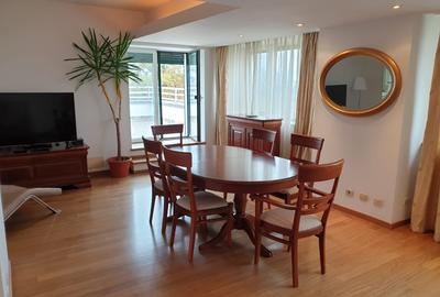 Vanzare apartament penthouse Gradina Icoanei - 14