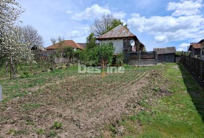 Casă + teren generos în Comuna Frâncești (sat Dezrobiți) - 2