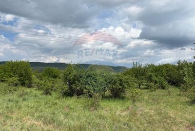 Teren de vanzare 13783mp, front la DN, parcela unica zona de vest - 9