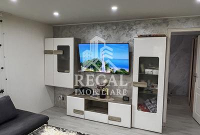 Două case individuale de vânzare în Teliuc –ideale pentru două familii - 2