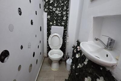 Particular, inchiriez studiou deosebit, in Vila central-Scoala Iancului - 9