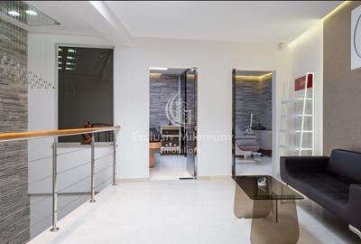 Vila Clinica /Salon de infrumusetare Lacul Tei  /Parcul Circului birouri - 11