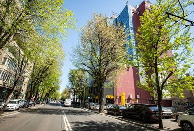 IBC Modern, Bd. Carol 34-36 - comision 0%, reprezentam proprietarul! - 7