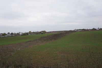 Teren intravilan | Snagov | Izvorani | 2800mp | Stradal - 4