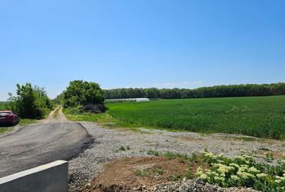 TEREN INTRAVILAN 17.714 MP – SCROVIȘTEA / BĂLTENI – LÂNGĂ PĂDURE - 4
