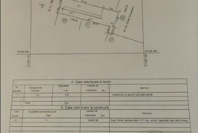 Ion Mihalache - Turda - 2
