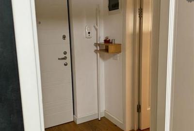 3 camere, etaj 1, Renovat Integral, Mobilat si Utilat - Buzaului - 20