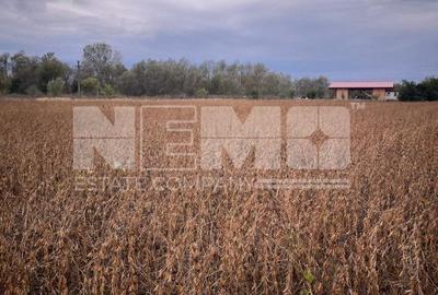 Teren zona buna. - 1